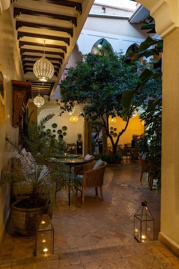 Riad l'Oiseau du Paradis view 7