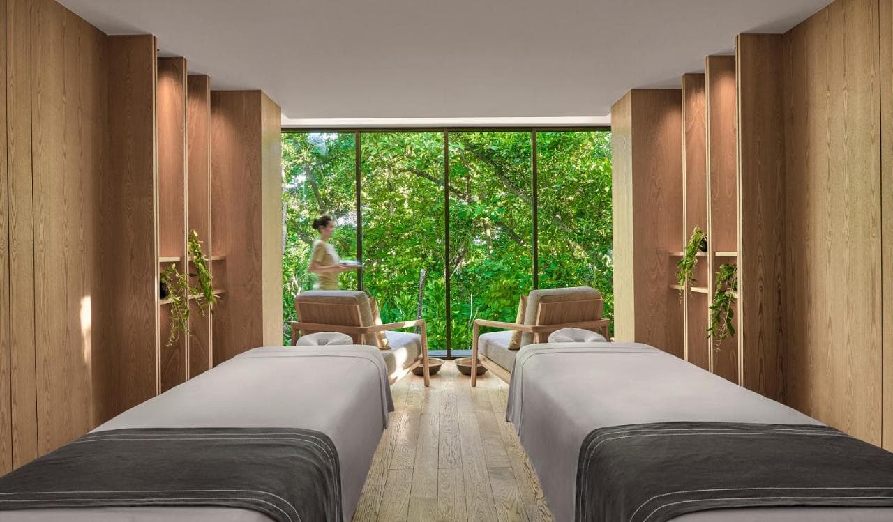 Alila Kothaifaru Maldives, A Hyatt Resort view 8