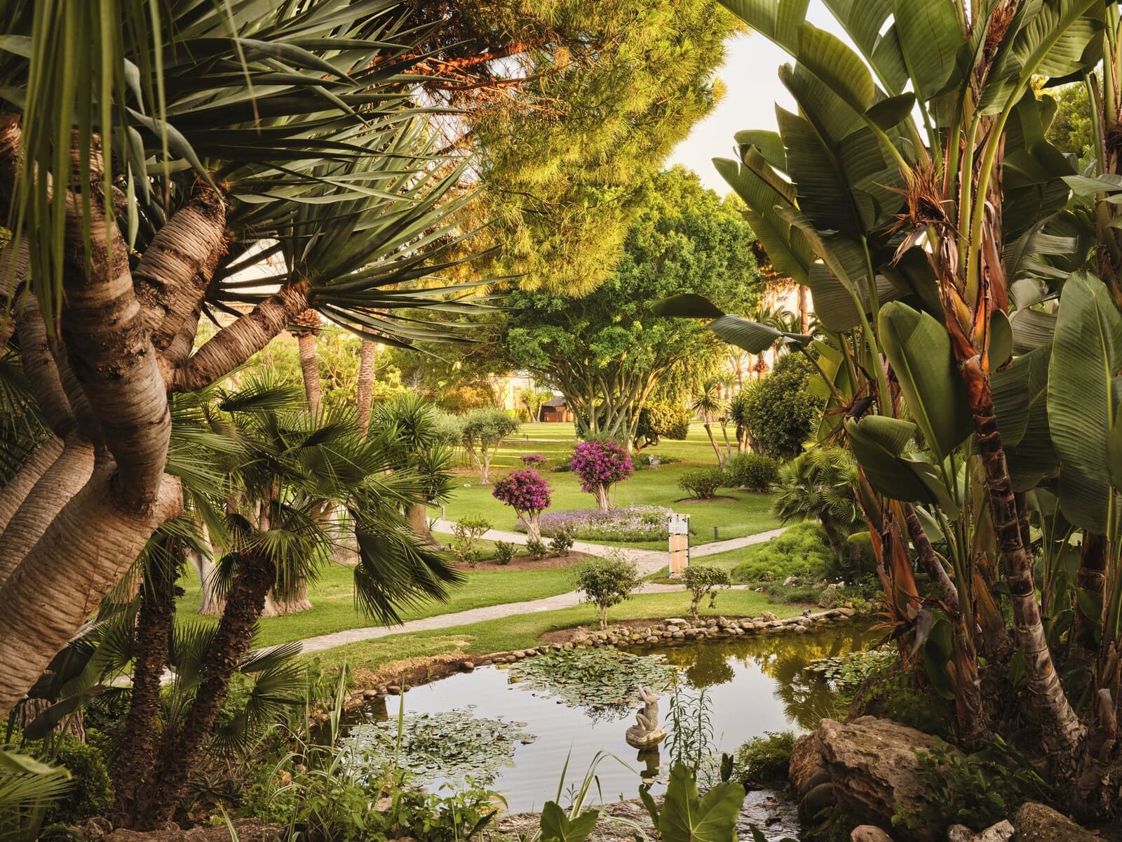 Don Carlos Marbella – bilde 5