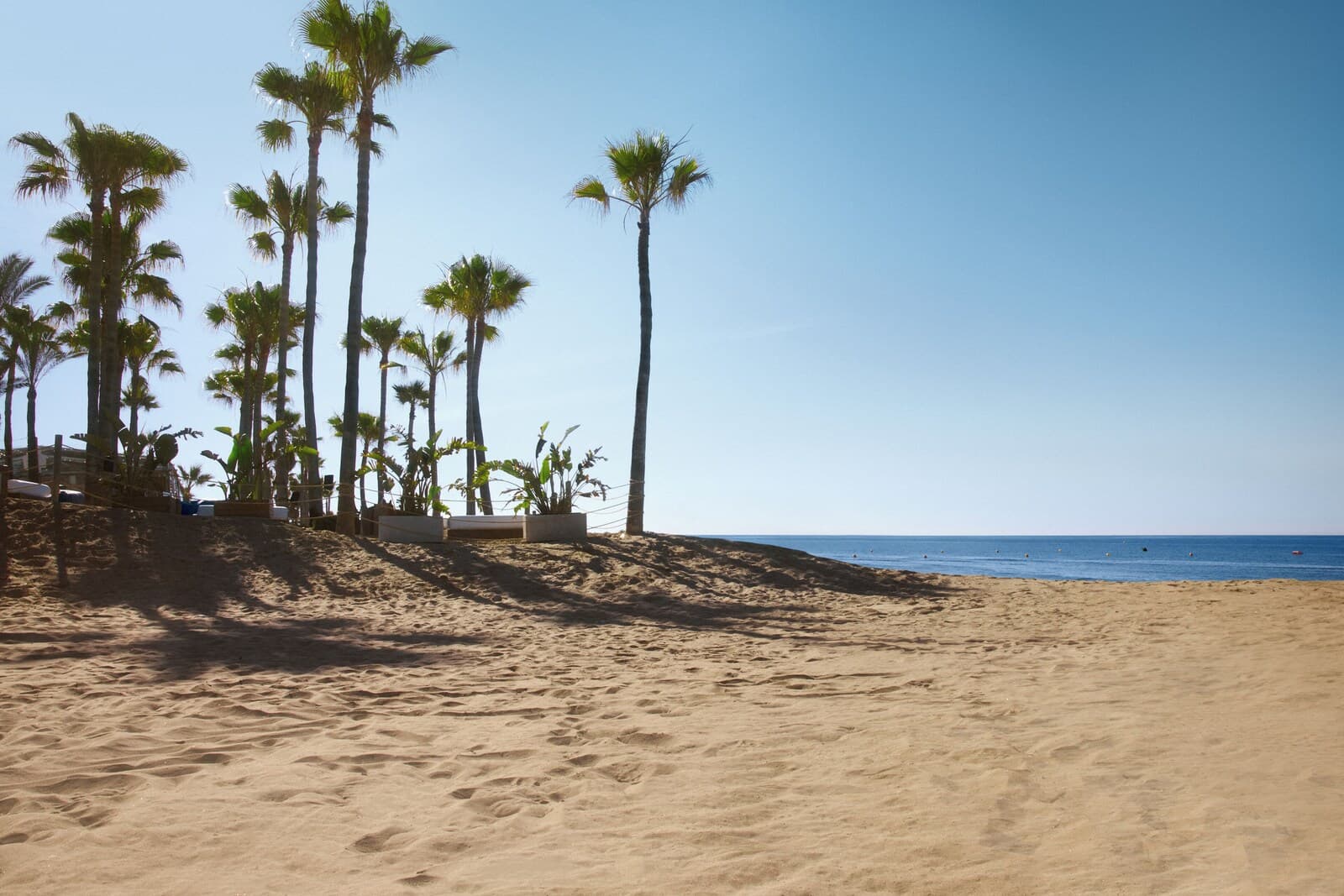 Don Carlos Marbella – bilde 7