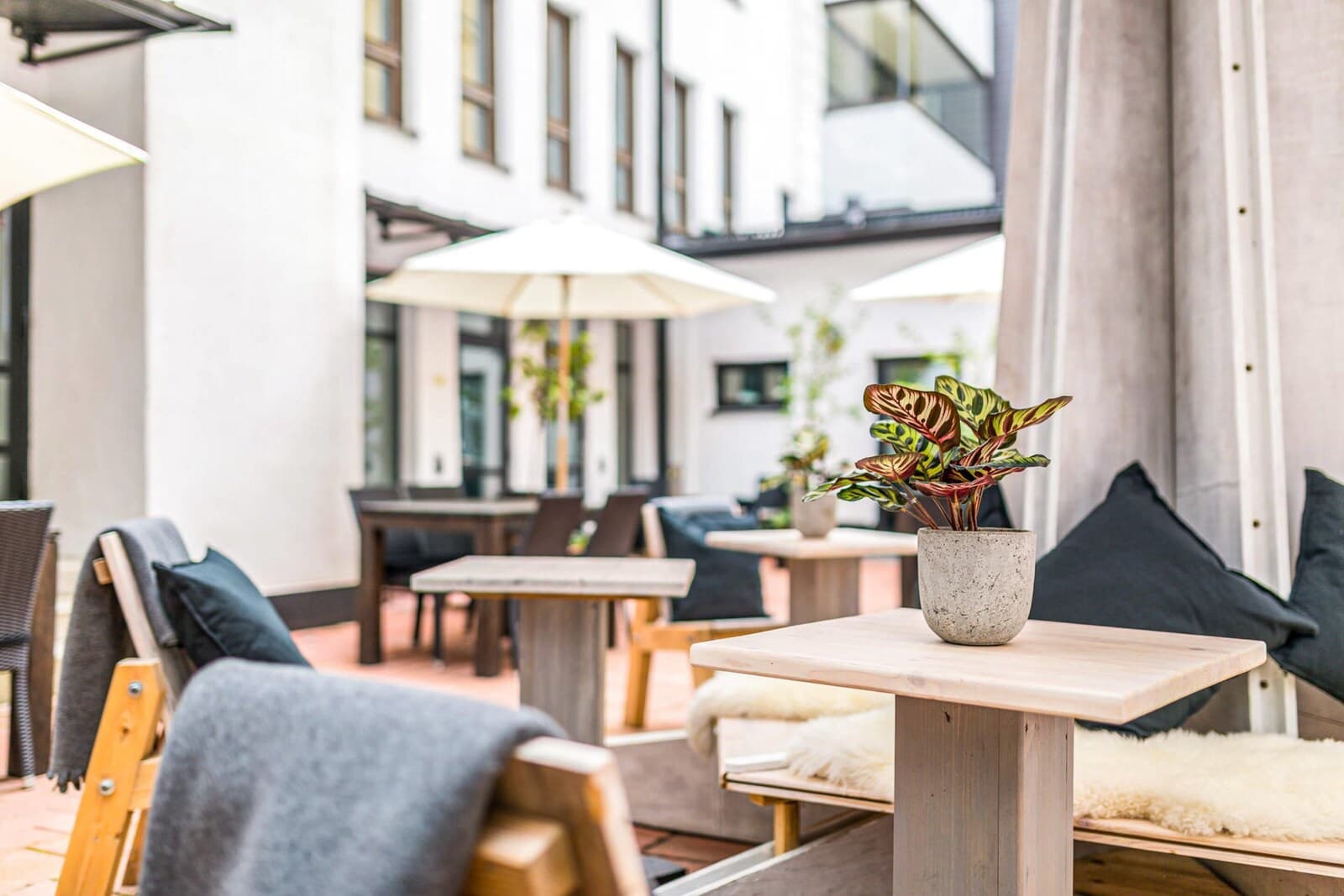 Hotel Fabian – bilde 6