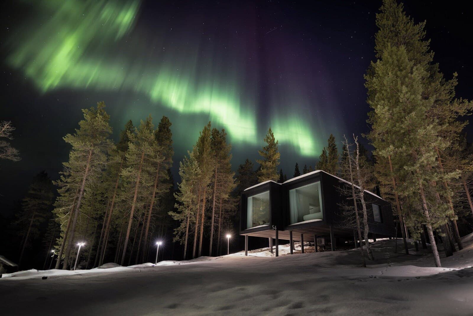 Arctic TreeHouse Hotel